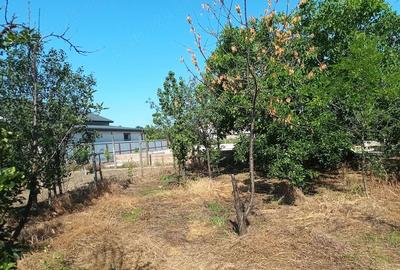 Casă cu 4 camere cu Teren 1040 Mp în Mărăcineni - 1