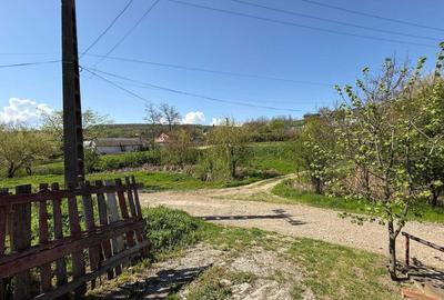 Casă cu 4 camere cu Teren 1450 Mp în Rediu - 4