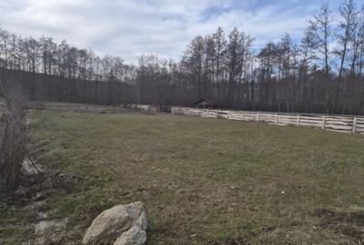 Spațiu comercial, în Săpânța - 3