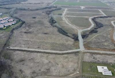 Teren de 5000 mp, în Albina - 4