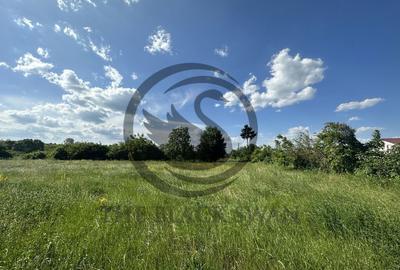 Teren Vanzare 11.000 MP Ghirdoveni | Comision 0% - 24