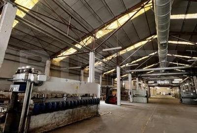 Spațiu comercial, de 2,700 mp, în Dâmbul Rotund - 7