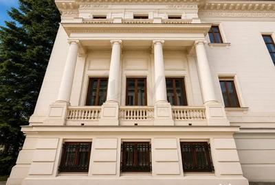 Casă cu 11 camere cu Teren 2100 Mp în Romană - 3