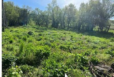 Casă cu 3 camere în Stroiești - 4