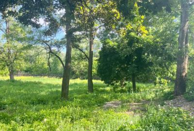 Teren extravilan, 10000 mp, Vicovu de Sus - 7