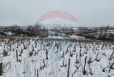 Teren de 6850 mp, în Izvor - 2