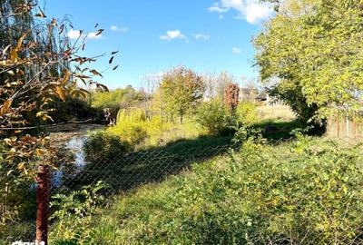 Teren de 5000 mp, în Albota