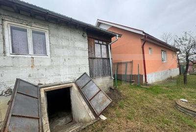 Casa individuala, 3300 mp teren, zona Sintereag - 11