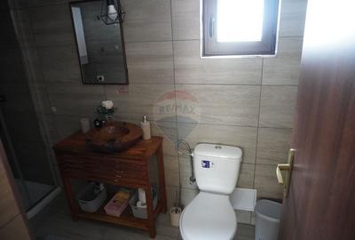 Casă individuală cu 5 camere cu Canalizare în Moisei - 46