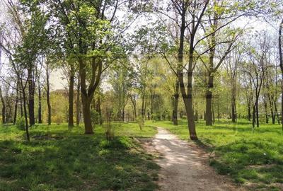 Apartament cu 3 camere decomandat, mobilat în Tătărași - 65