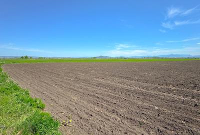 Teren intravilan, 1.7 hectare, Stupini Strada Barsei - 11