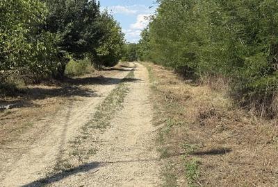 Teren de 350 mp, în Central - 1