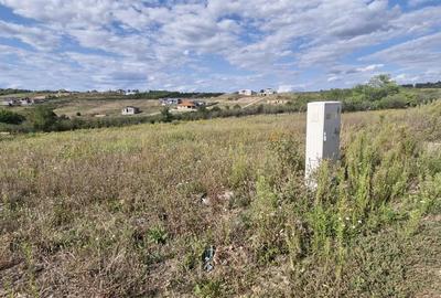 Teren Construcții intravilan de 680 mp, în Săldăbagiu de Munte - 1