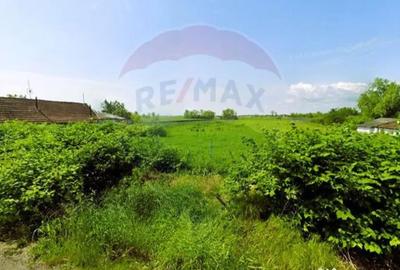 Teren de 5018 mp, în Variașu Mare - 5