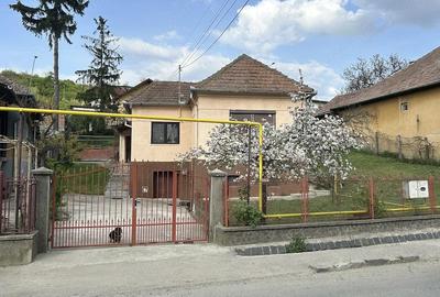 Casă cu 5 camere cu Teren 7000 Mp în Central - 2
