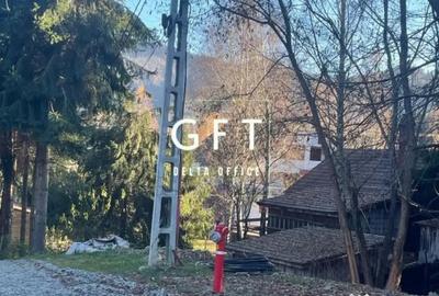 Teren de 500 mp, în Colibița - 6