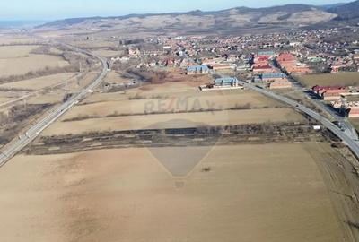 Teren de 10168 mp, în Brateiu - 5