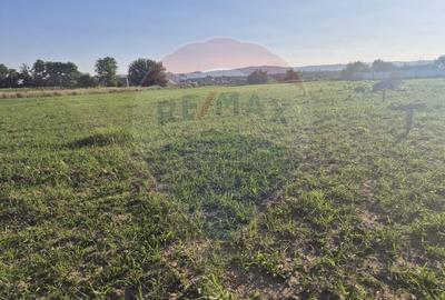 Teren 5,000mp Rusi-Ciutea / Strada Margaretelor - 7