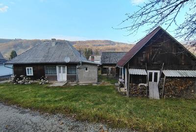 Casă cu Teren 1400 Mp în Moisei - 4