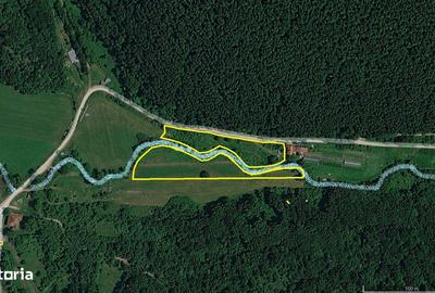 Teren de 6000 mp, în Vețel - 5