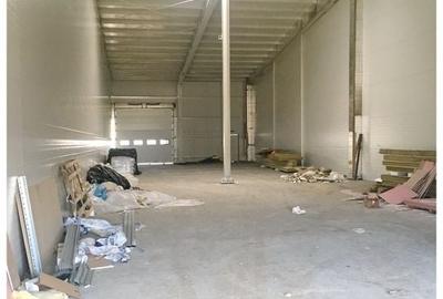 DEPOZIT NOU AVIZAT ISU - STUPINI - 2