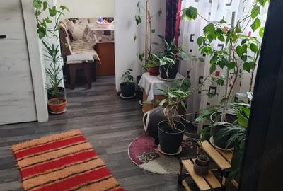 Apartament cu 2 camere semidecomandat în Mătăsari - 3