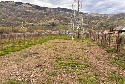 Casă cu 3 camere cu Teren 1700 Mp în Bicazu Ardelean - 1