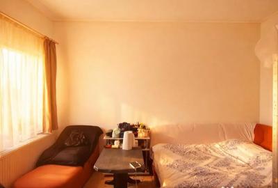 Apartament cu 3 camere semidecomandat în Traian - 7