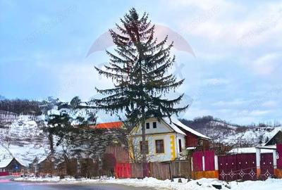 Casă cu Teren 780 Mp în Moșna - 4