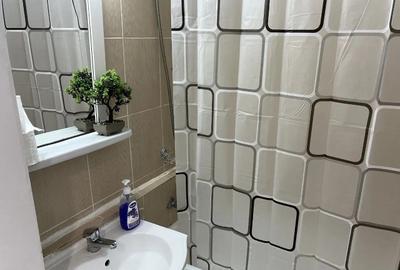 Inchiriere Garsoniera cu boiler Metrou Dristorului - 5