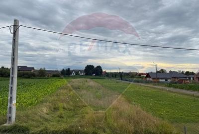 Teren intravilan de vanzare in Catalina, langa Han, COMISION 0% - 5