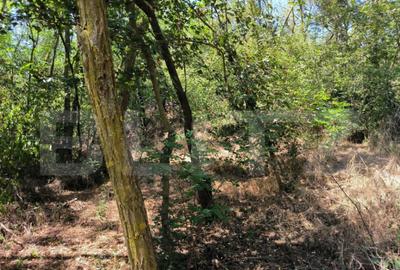 Teren de 3000 mp, în Central - 3