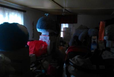 Casă cu 3 camere în Adâncata - 8