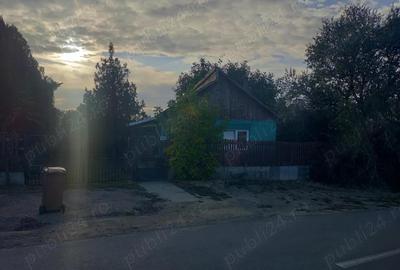 Casa cu teren 2200 mp si hala noua de 154 mp in localitatea Bodrogu Nou la 10 km de Arad - 1