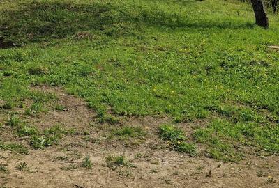 Teren de 1536 mp, în Ceuaș - 7