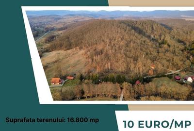 Teren de 16800 mp, în Bățani - 2