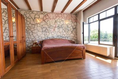 Casă individuală cu 7 camere cu Piscina în Izvorani - 8
