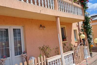 Vand sau inchiriez vila P+1 pe bd Nicolae Titulescu - 1