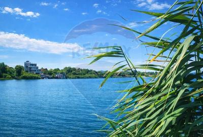 Casă cu 7 camere cu Teren 1798.1600341797 Mp în Izvorani - 6