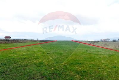 Teren Construcții intravilan de 3545 mp, în Cărpiniș - 3