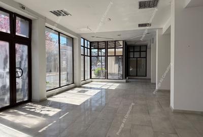 Spațiu comercial, de 485 mp, în Șagului - 4