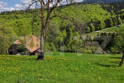 Teren intravilan 3400 mp, in Balaban - Simon, Bran - Brasov - 3