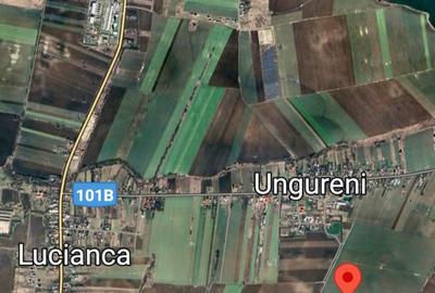 Teren agricol extravilan de 7500 mp, în Ungureni (Butimanu) - 6