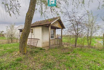 Teren agricol extravilan de 10000 mp, în Alioș - 7