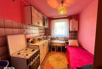 Casă cu Teren 8800 Mp în Satulung