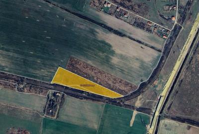 Teren agricol extravilan de 25000 mp, în Rudicica - 2