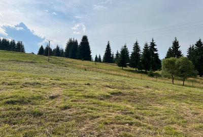 Casă cu 4 camere cu Teren 7000 Mp în Central - 6