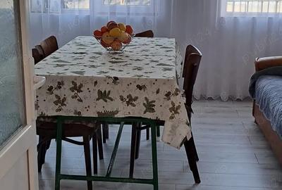 Casă cu Teren 960 Mp în Broșteni - 3