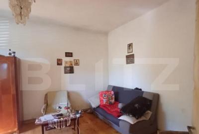 Casa renovabila, 3 camere, 1400 mp teren, in Mihai Viteazu - 16