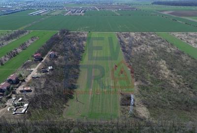 Teren Construcții intravilan de 2000 mp, în Săbăreni - 6